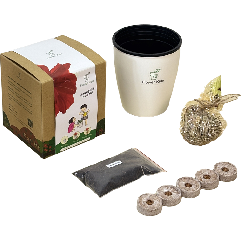 Thành phần bộ kit