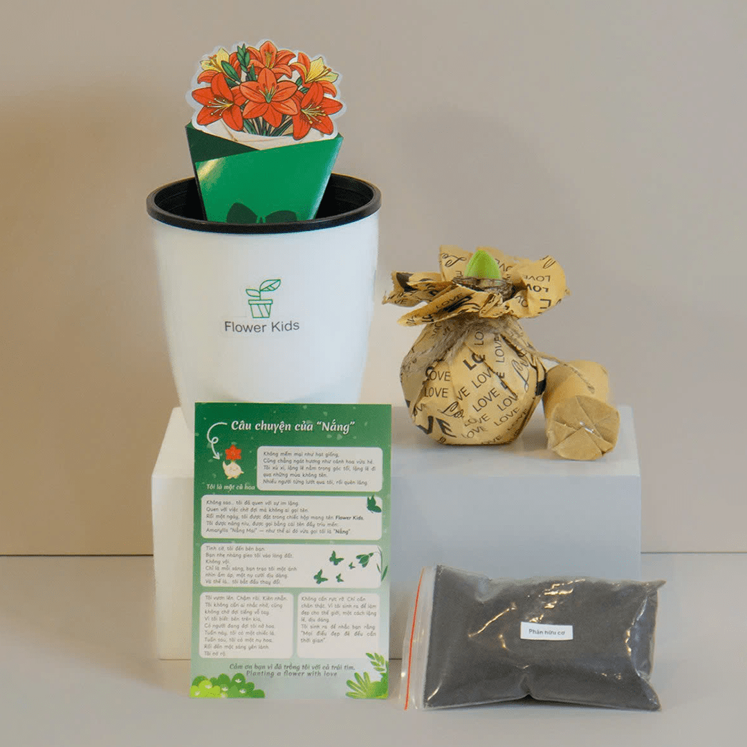 Thành phần bộ kit trồng hoa của Flower Kids