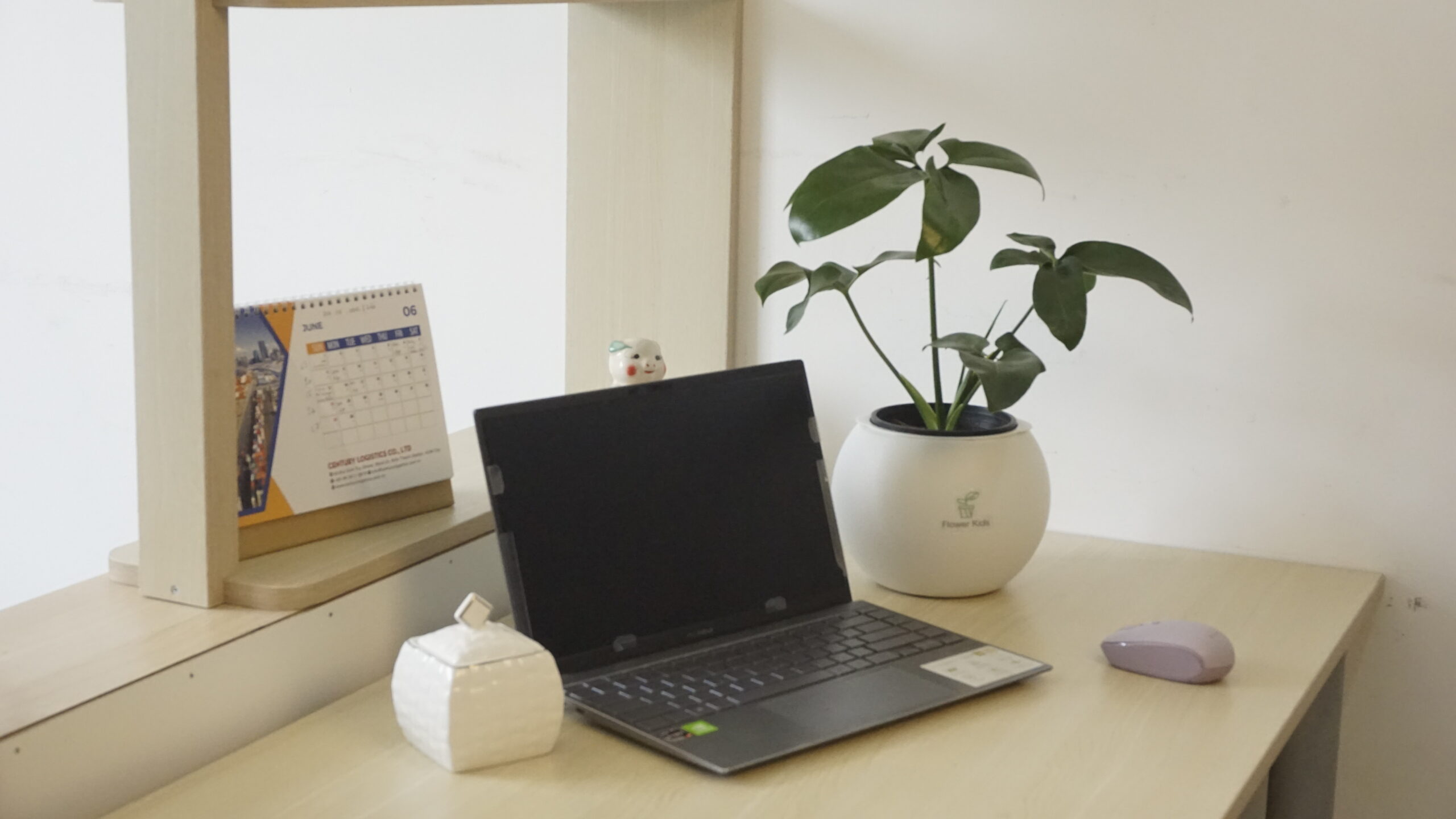 Cây cảnh để bàn