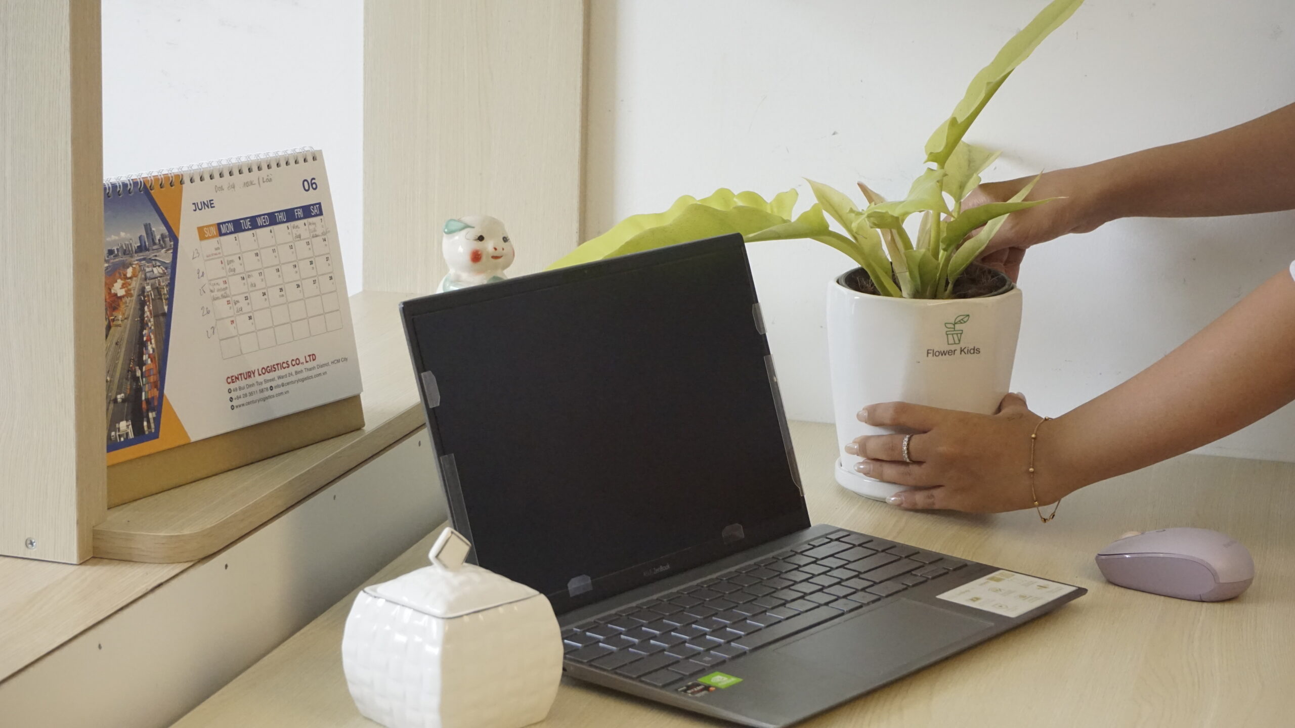 Cây để bàn làm việc