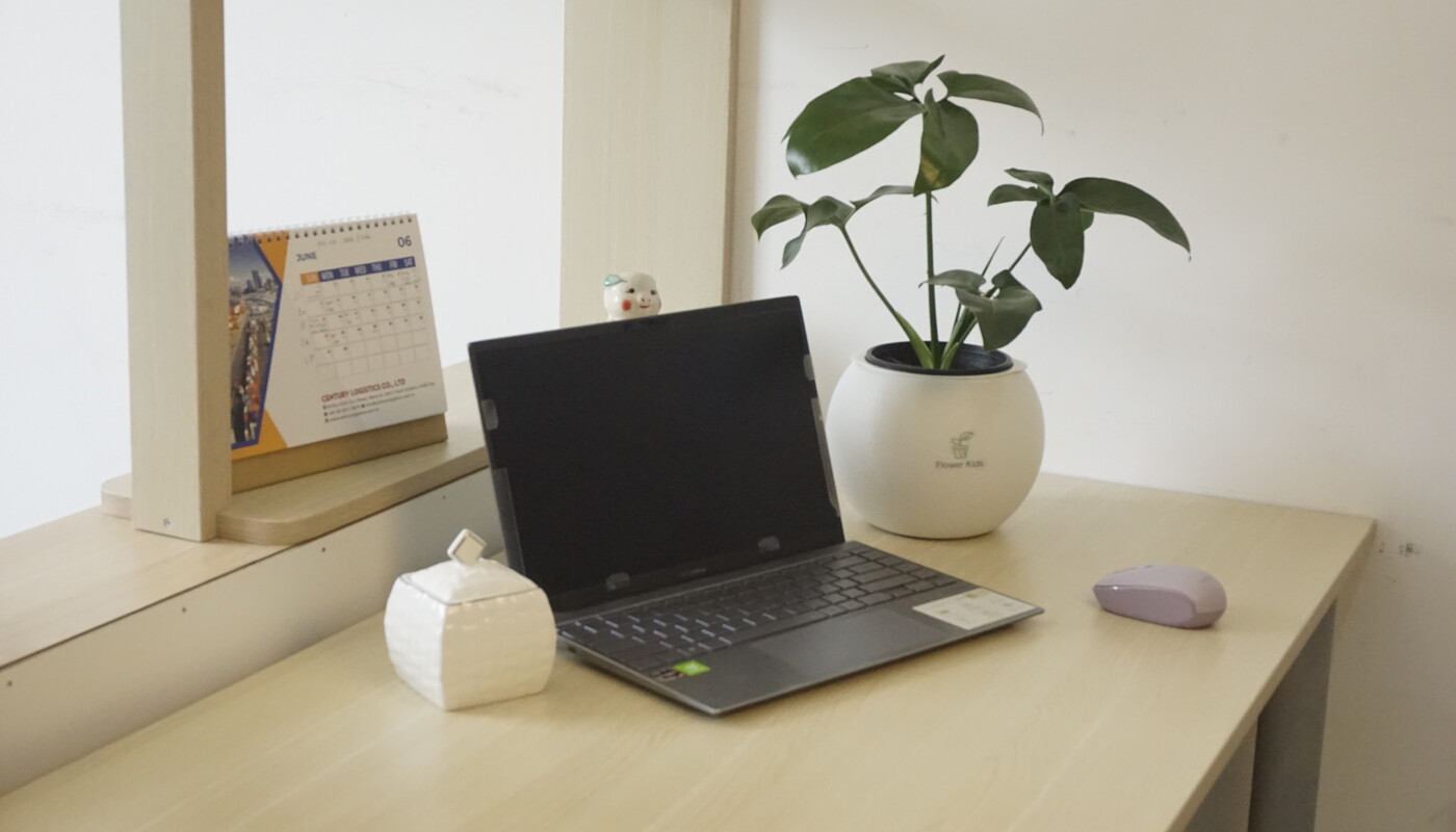 Cây để bàn làm việc