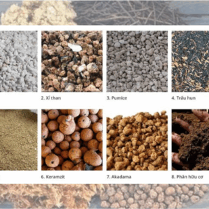 Các loại giá thể phổ biến hiện nay