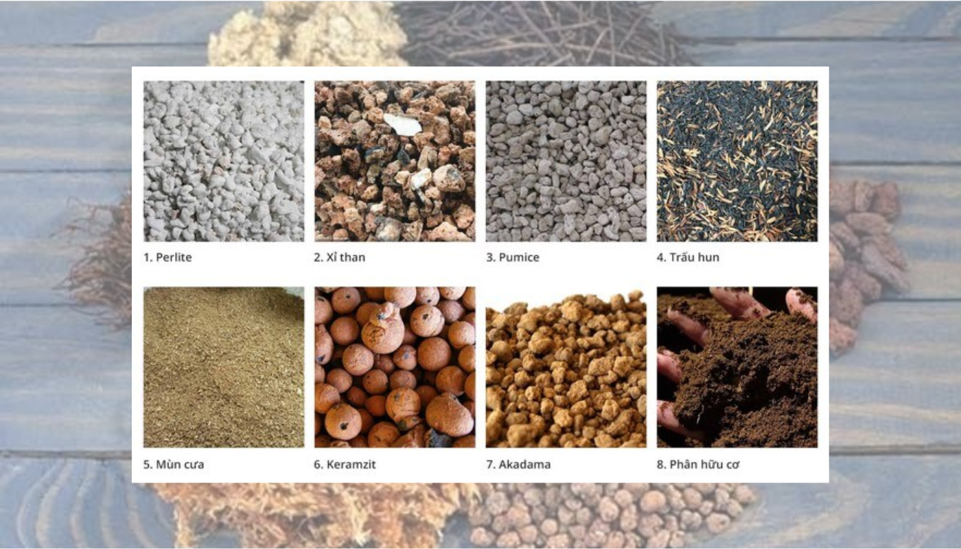 Các loại giá thể phổ biến hiện nay