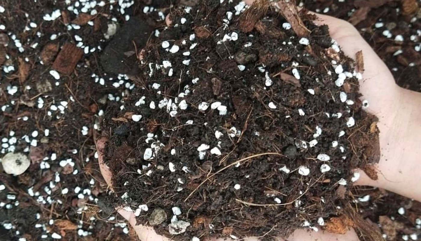 Giá thể trồng cây là gì