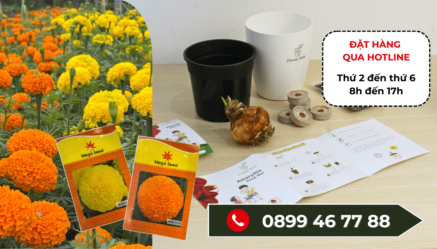 Hướng dẫn đặt hàng qua hotline 0899 46 77 88