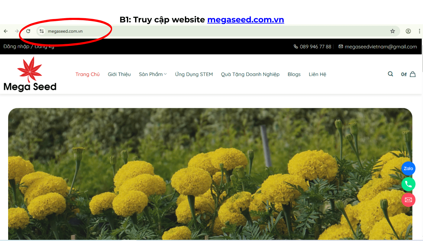 Bước 1: Truy cập website