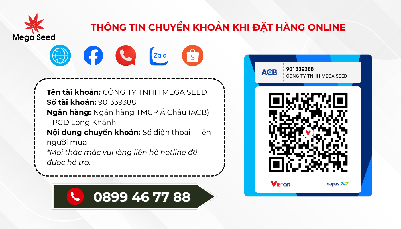 Thông tin chuyển khoản chính thức khi đặt hàng online tại Mega Seed