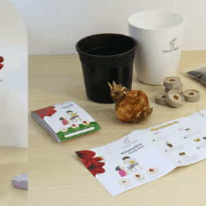 Mách thầy cô những ví dụ hay về dạy STEM ở tiểu học