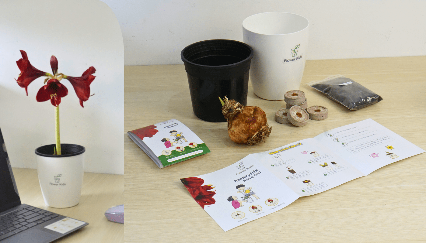 Mách thầy cô những ví dụ hay về dạy STEM ở tiểu học