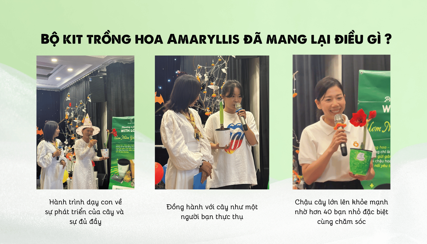 Bộ kit trồng hoa Amaryllis đã mang lại điều gì ?