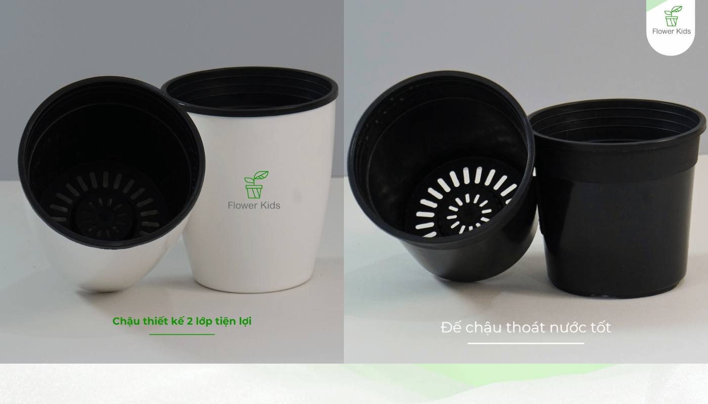 Chậu cây 2 lớp vừa giúp cây thoát nước tốt vừa dễ trang trí theo sở thích.