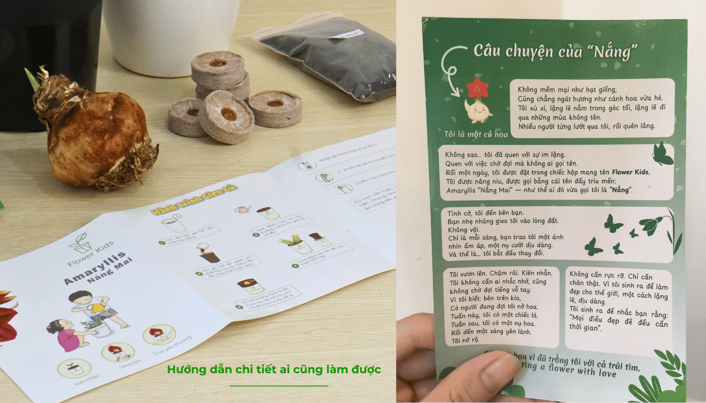 Toàn bộ quy trình trồng hoa Amaryllis được hướng dẫn một cách tỉ mỉ để ai cũng có thể làm được.
