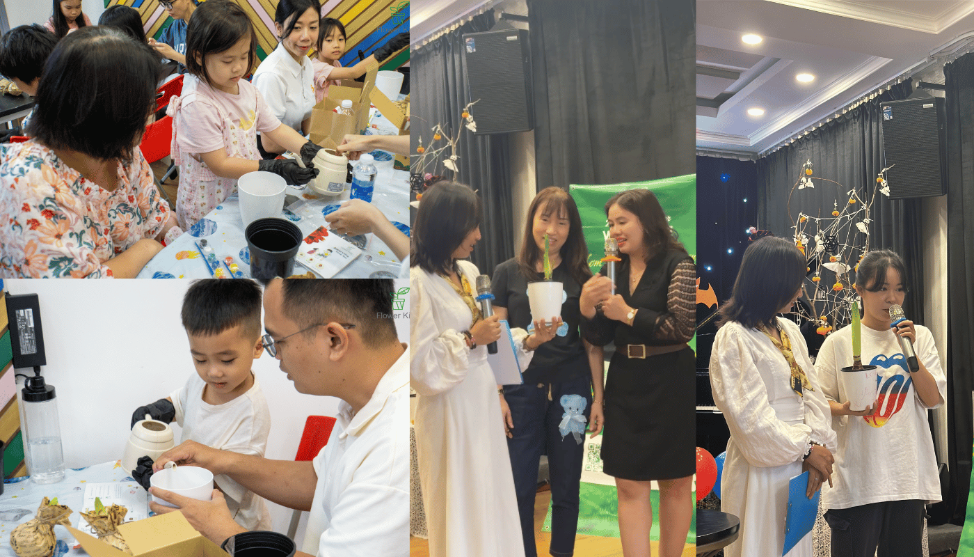 Bộ kit trồng hoa Amaryllis phù hợp cho nhiều đối tượng, đặc biệt là những người bận rộn.