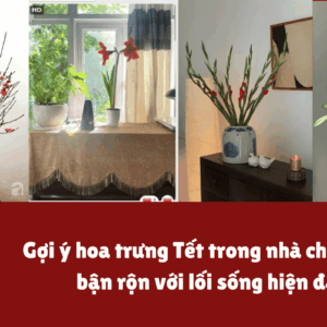 Gợi ý hoa trưng Tết trong nhà, căn hộ cho người bận rộn.
