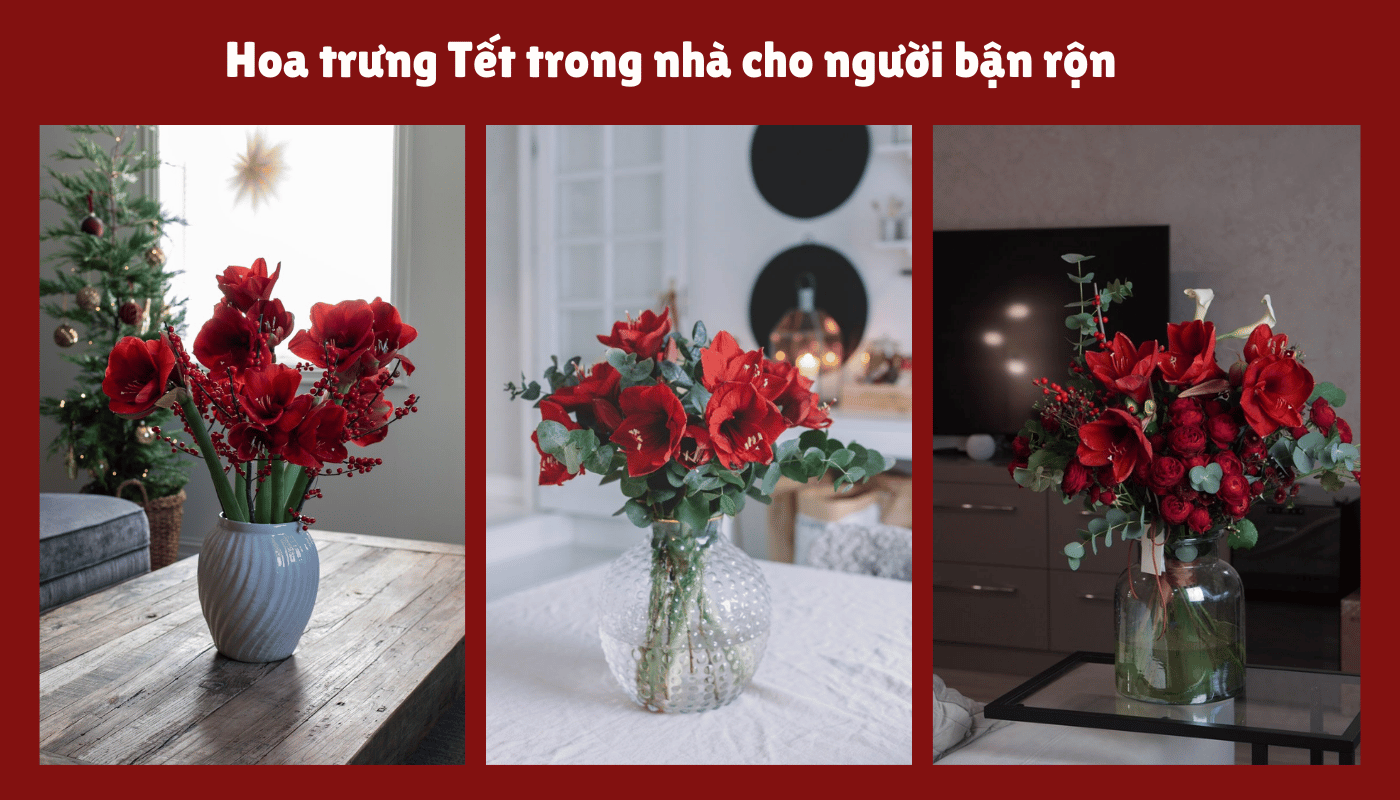 Tiêu chí chọn hoa trưng Tết trong nhà cho người bận rộn.