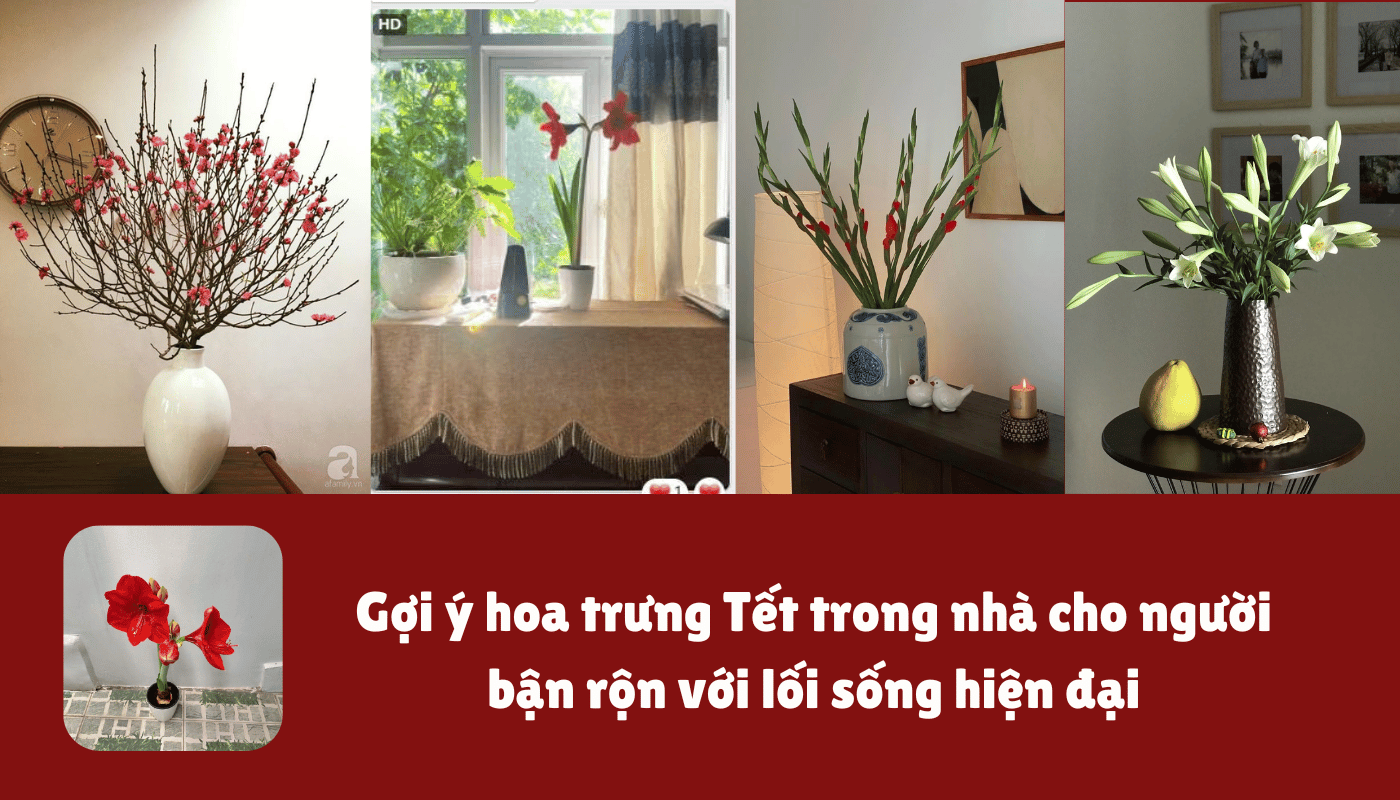 Gợi ý hoa trưng Tết trong nhà, căn hộ cho người bận rộn.