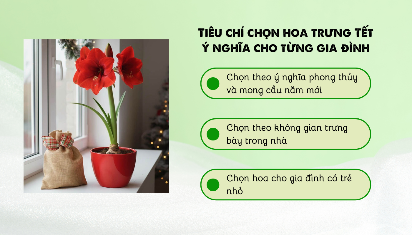 Tiêu chí chọn hoa trưng Tết cho từng gia đình.