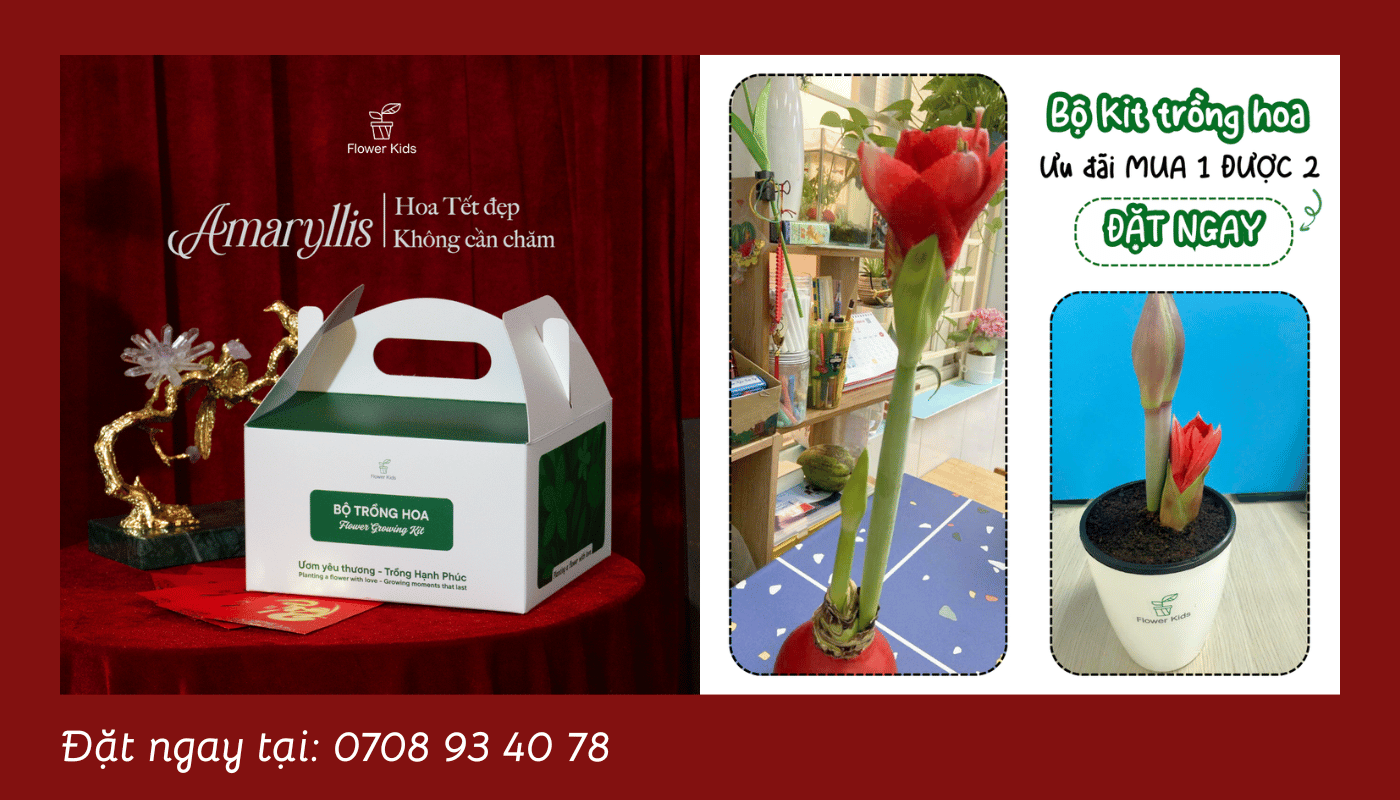 Gợi ý chọn quà Tết trải nghiệm theo từng đối tượng.