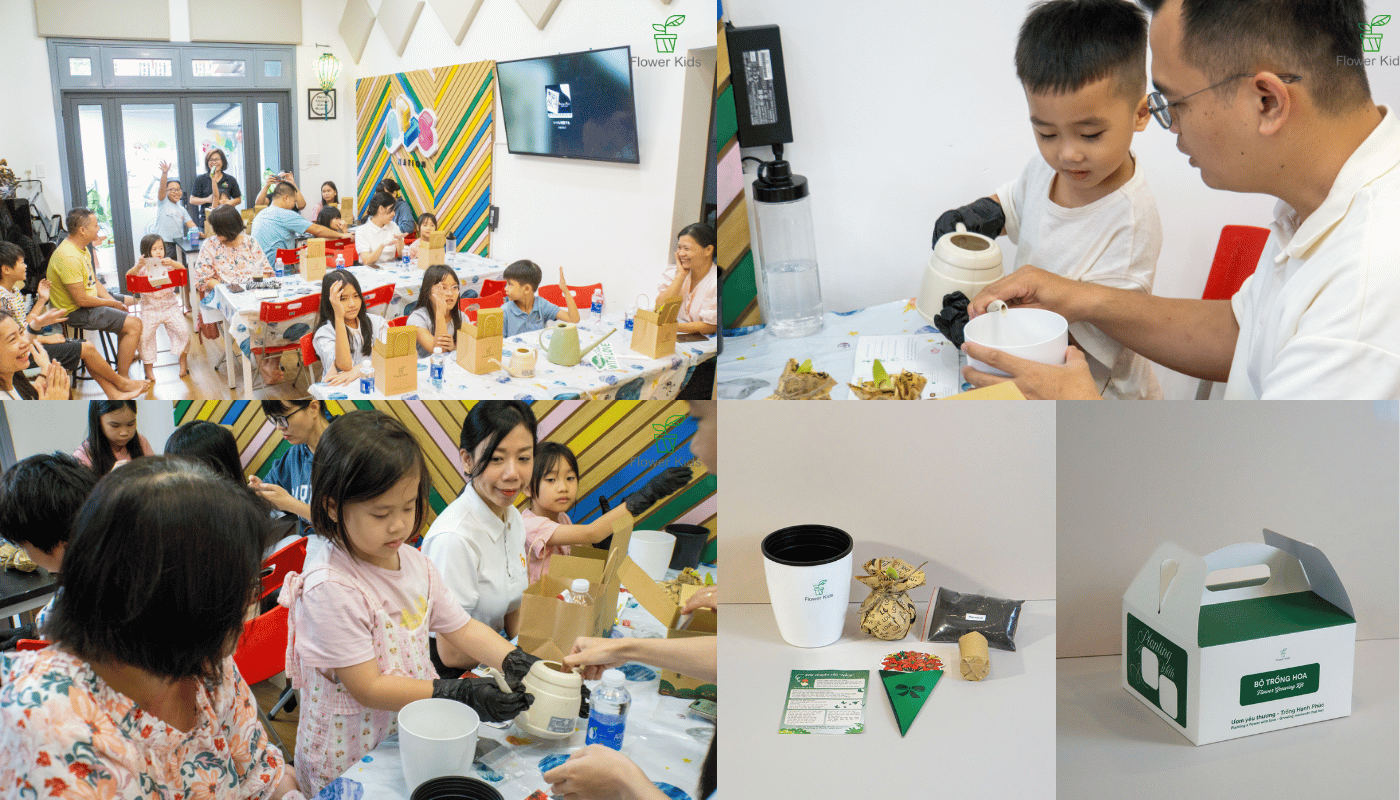 Khi trồng Amaryllis trở thành một trải nghiệm cảm xúc.